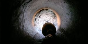 Wurzeleinwuchs 6.jpg